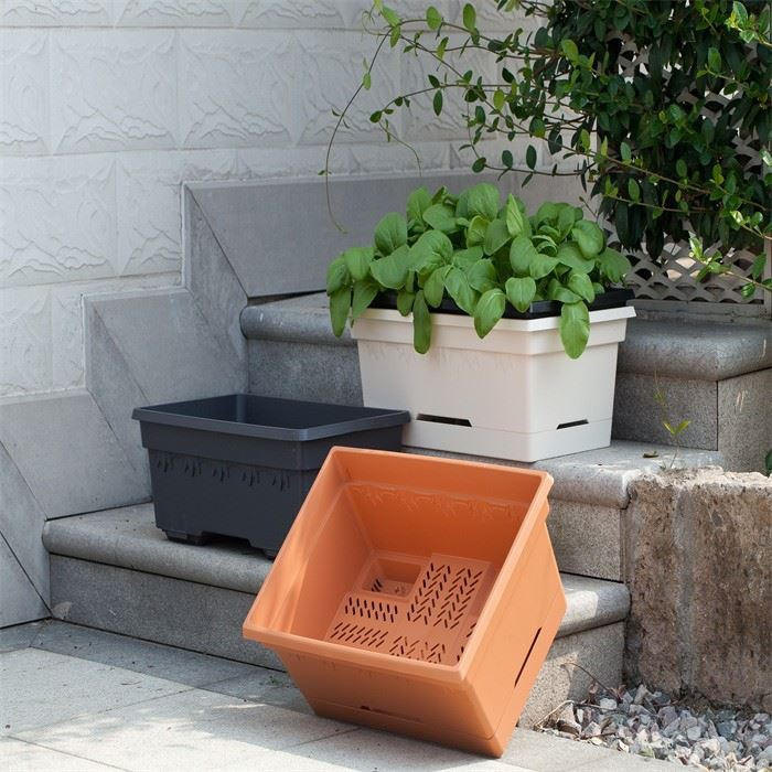 20" Sailing Window Box
