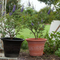 Stone-Like Pattern Plastic Pot