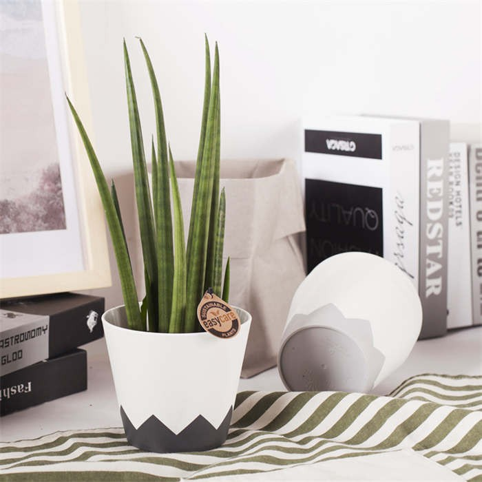 Injection Molded Geometric Planter06