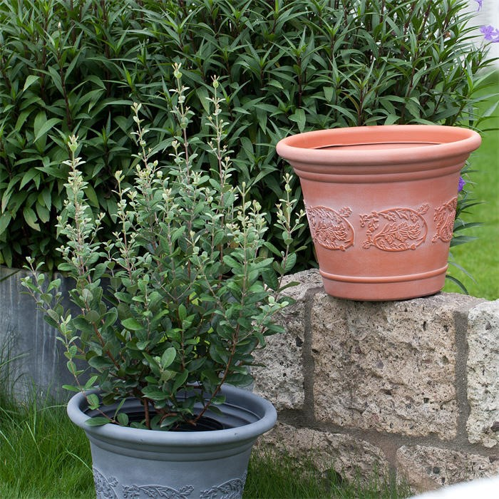 Home gardening decoration pot05