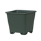 6 Square Blueberry Planter