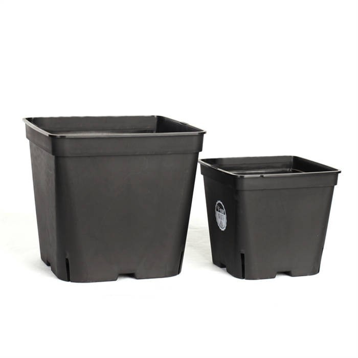 10 Square Blueberry Planter