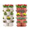 Strawberry Vertical Planter