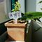 Plant Markers