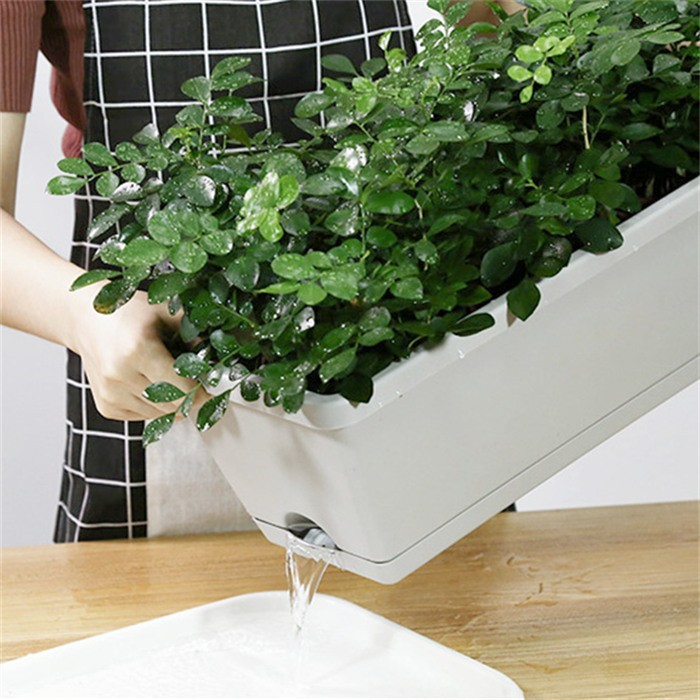 20" Huolun Window Box