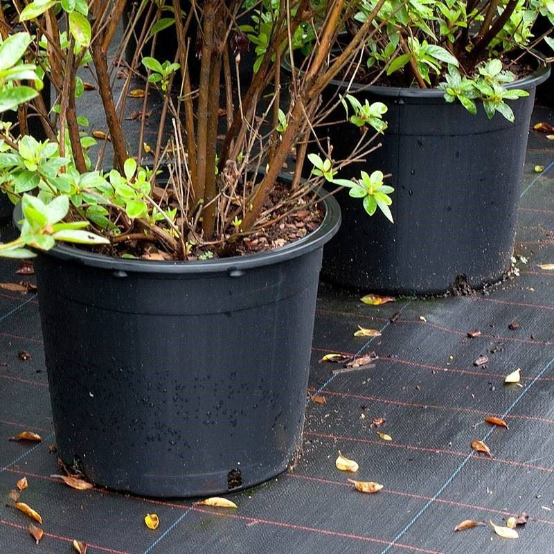 Round 7 Gallon Plastic Pots