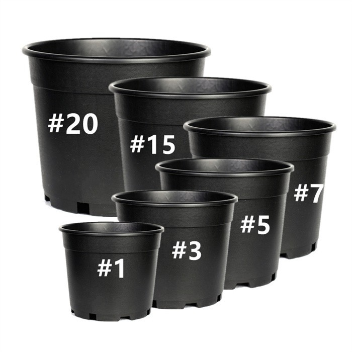 Large Plastic Nursery Pot