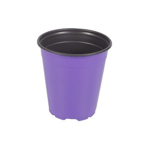 Round Seedling Pot