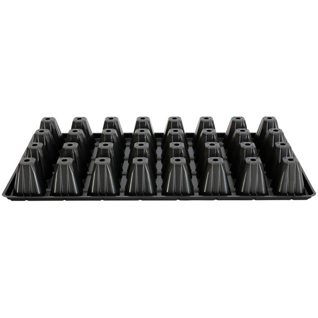 24 Holes Seed Tray