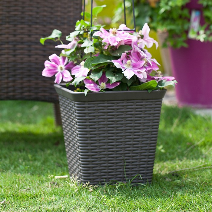 large wicker planter trough05