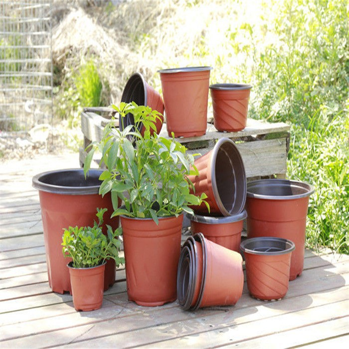seed starting pots06
