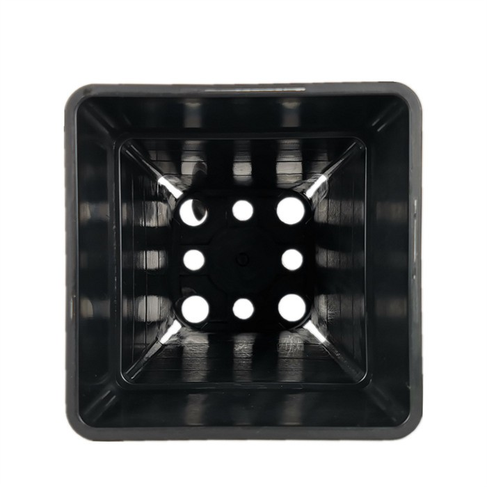 product-700-700