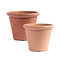Colored Flower Pot With Logo