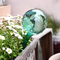 Water Globes For Plants