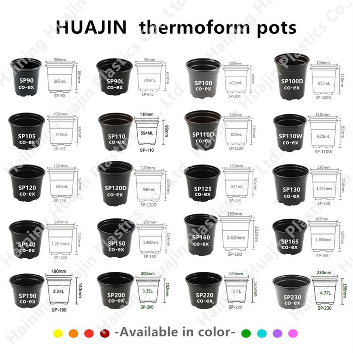 Blister Seedling Pot