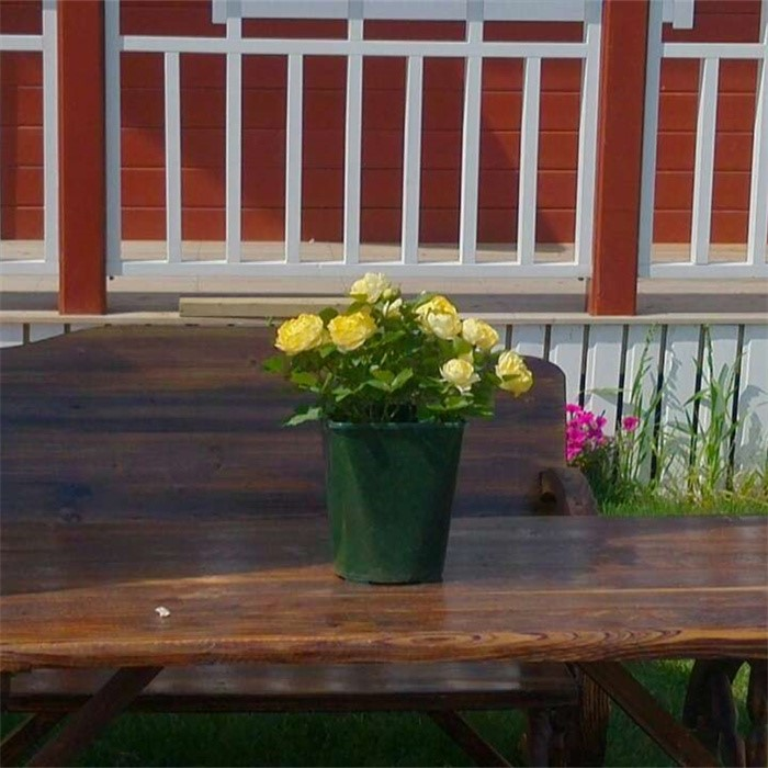 Tall Square Planter05