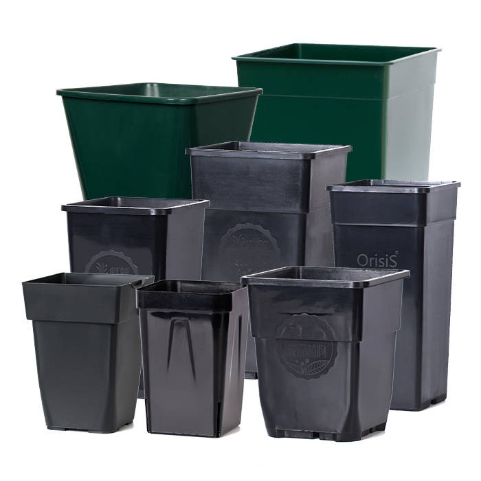 Square Plastic Gallon Pot06