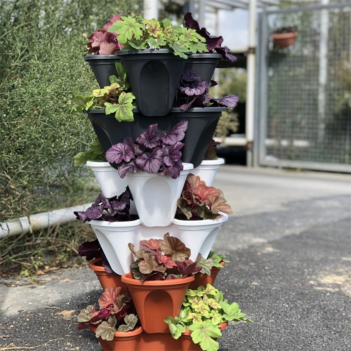 Strawberry Growing Tower05