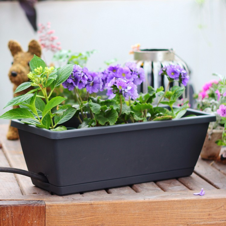 Designer Long Planter