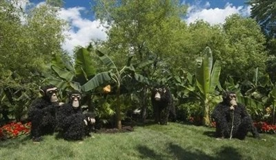 Here Are Some Developments In The American Horticulture Industry Recently