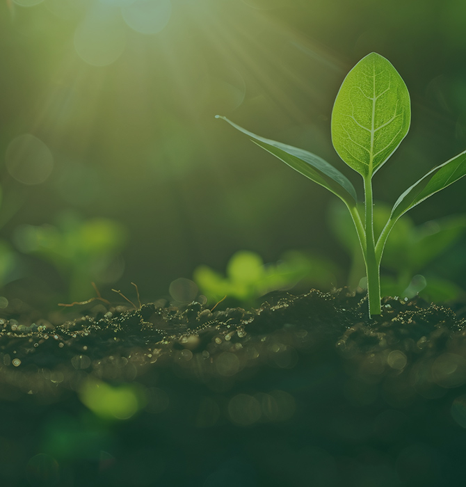 Sustainability-Focused Growers