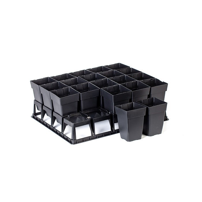 Square Clematis Plant Pot