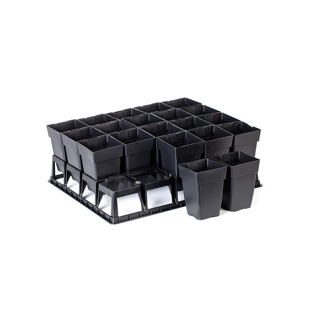 Clematis Plant Pot