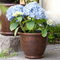 Rattan Planter