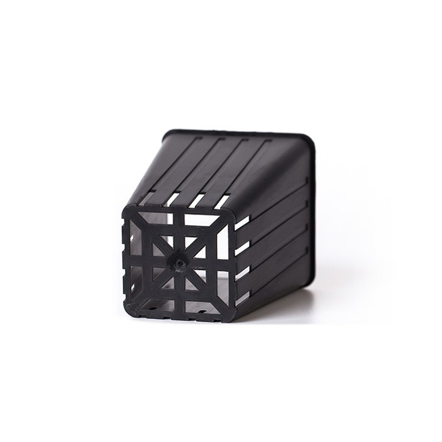 Square Seedling Cup