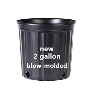 2 Gallon Nursery Pot For Sale