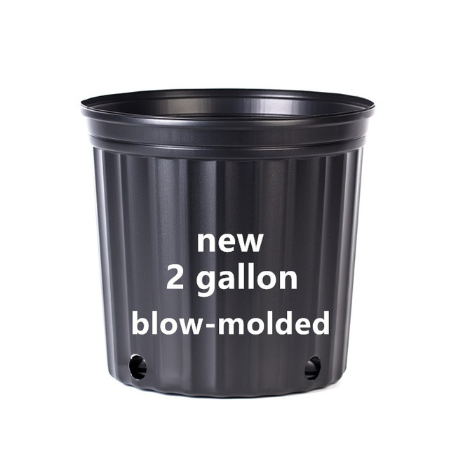 2 Gallon Nursery Pot For Sale