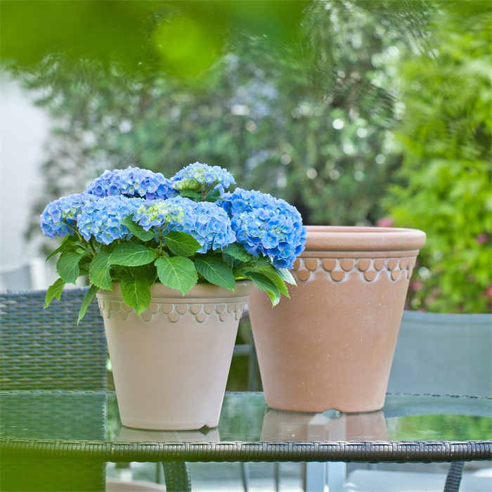Ceramic Flower Pot05