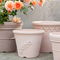 10 Plastic Planter