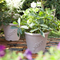 10 Plastic Flower Pot