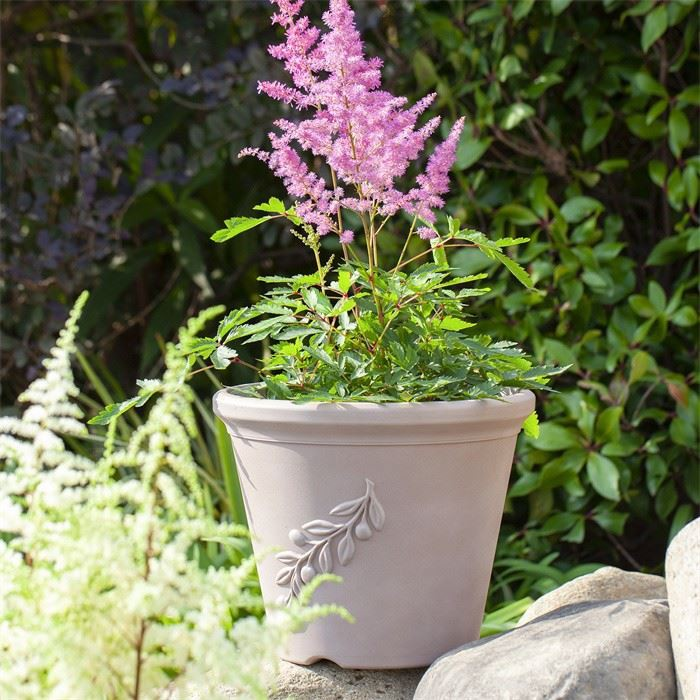 10" Plastic Plant Pot
