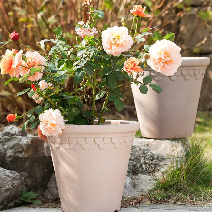 Plastic Plant Pot