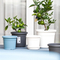 8" Plastic Plant Pot