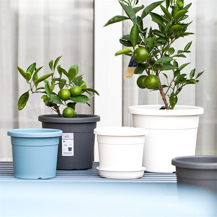 8" Plastic Plant Pot