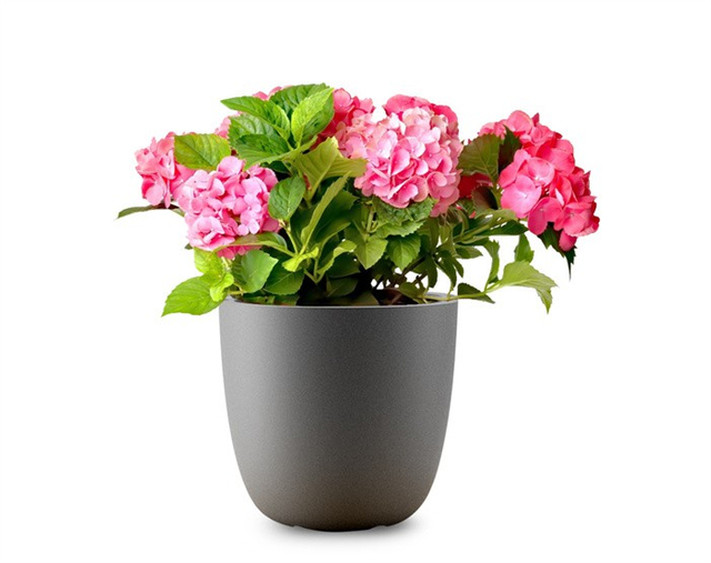 Self Watering Pots For Plants