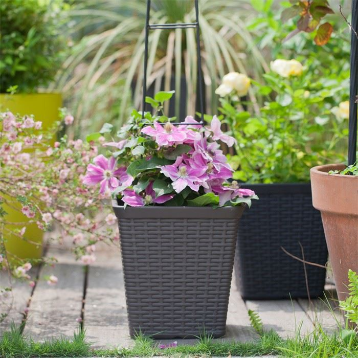 10" Square Rattan Weave Planter