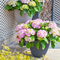 9" Plastic Flower Pot
