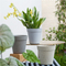 Modern Home Planters Frosted