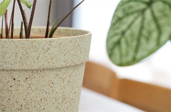 Frosted Pots Indoor Decor