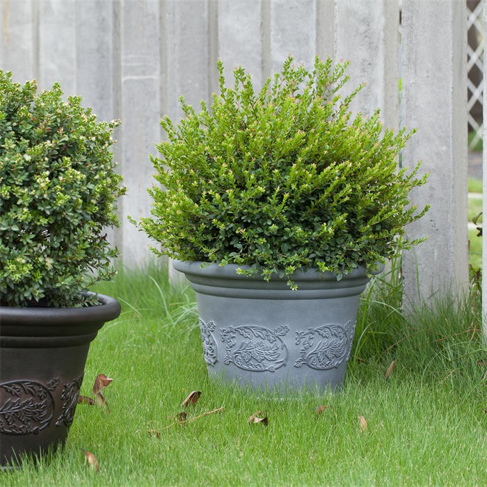 Home gardening decoration pot06