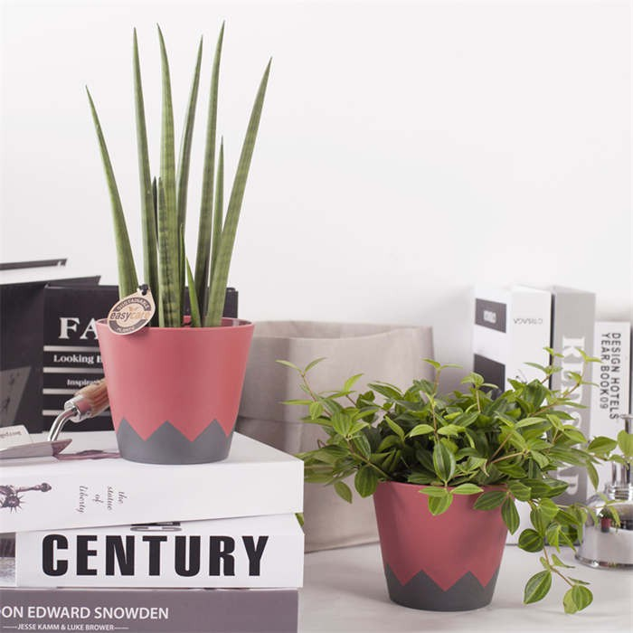 Injection Molded Geometric Planter07