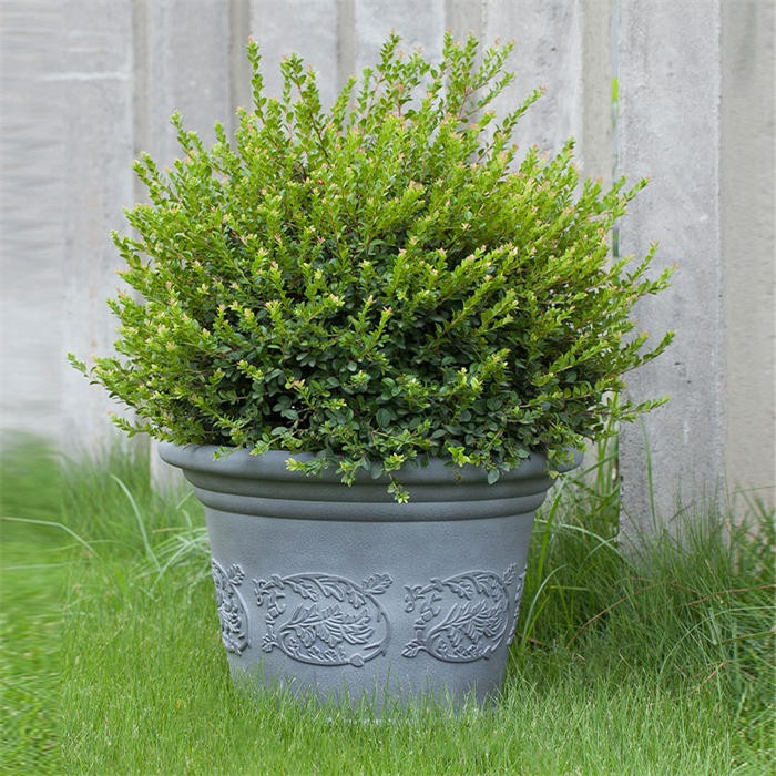Large-caliber plastic flower pot04