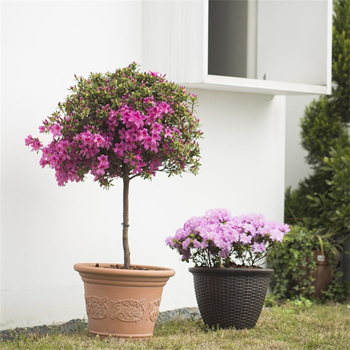 Retro pattern plastic flower pot08
