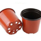 Pp Plastic Seedling Cups