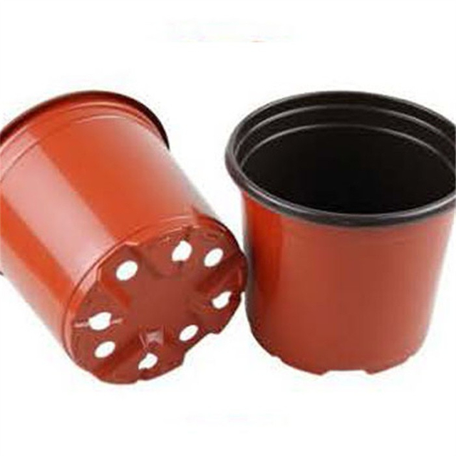 Pp Plastic Seedling Cups