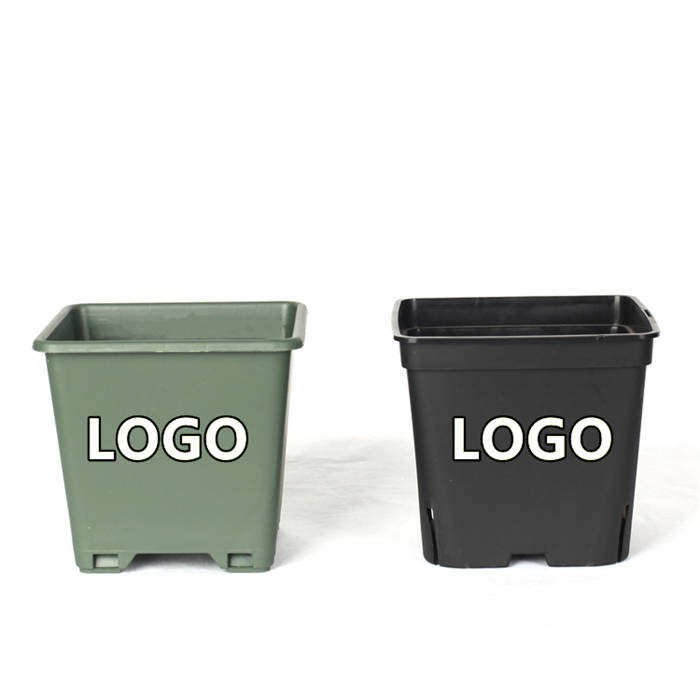 10 Square Blueberry Planter
